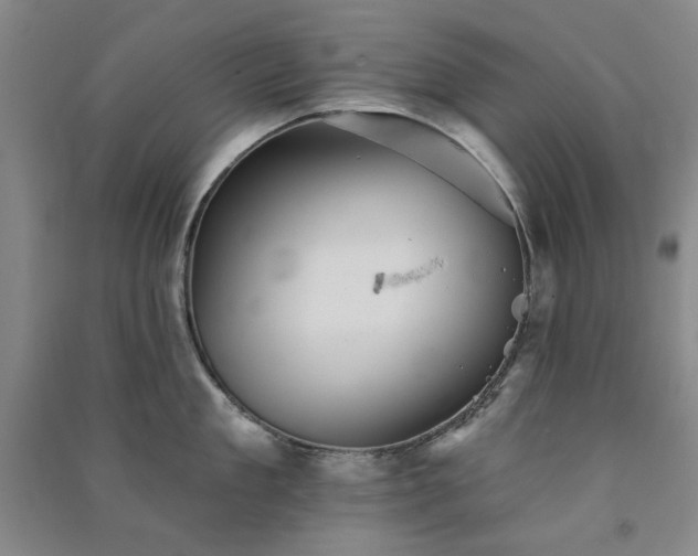 X0000091350909200708171428