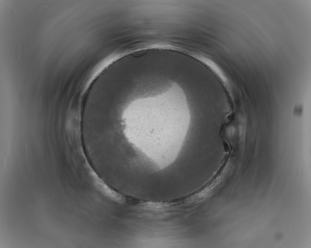 X0000091350910200708171428