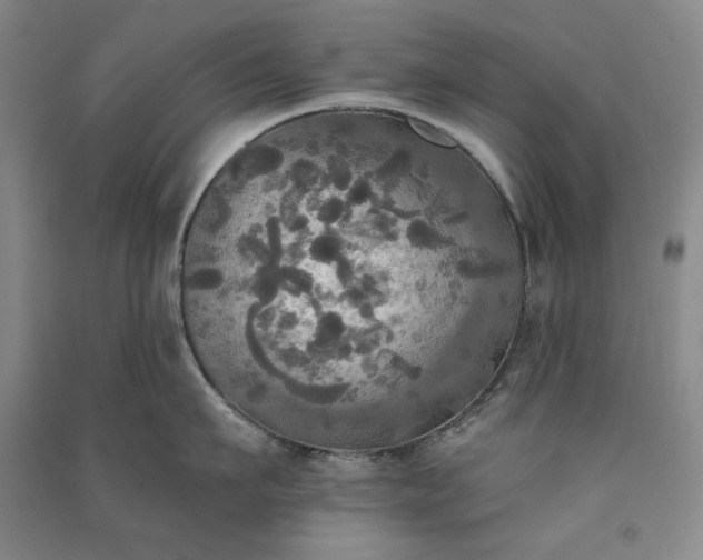 X0000091350911200708171428