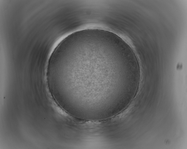 X0000091350912200708171428