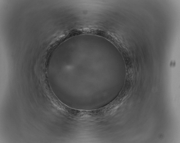 X0000091350913200708171428