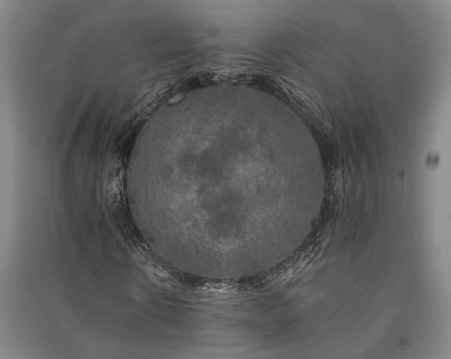 X0000091350914200708171428