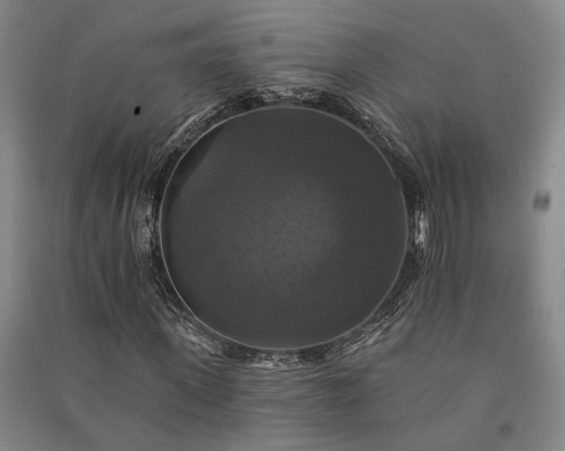 X0000091350915200708171428