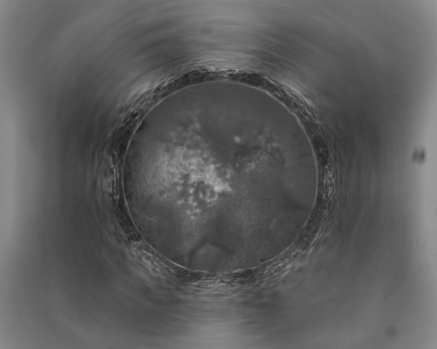X0000091350917200708171428