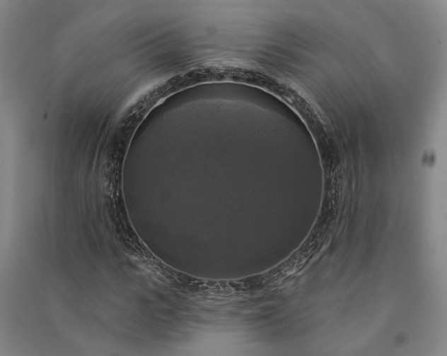 X0000091350919200708171428