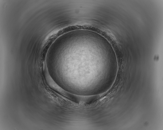 X0000091350920200708171428