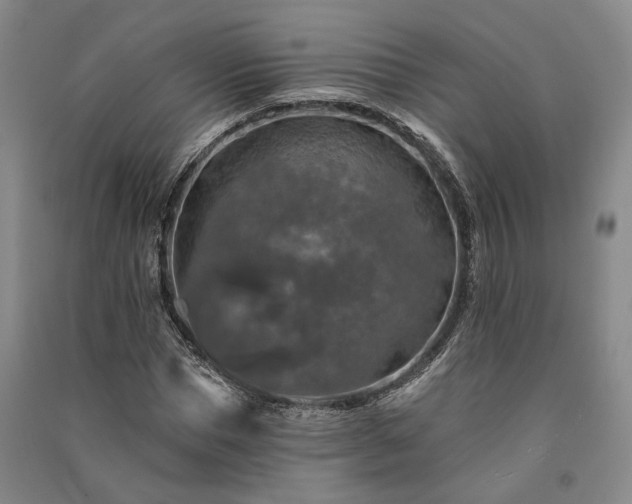X0000091350921200708171428