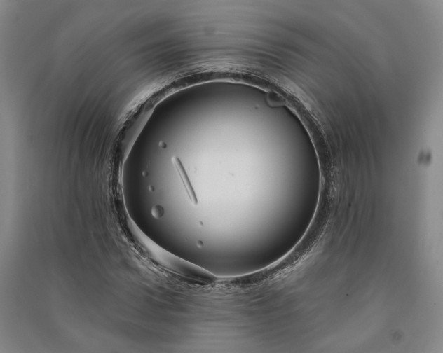 X0000091350922200708171428