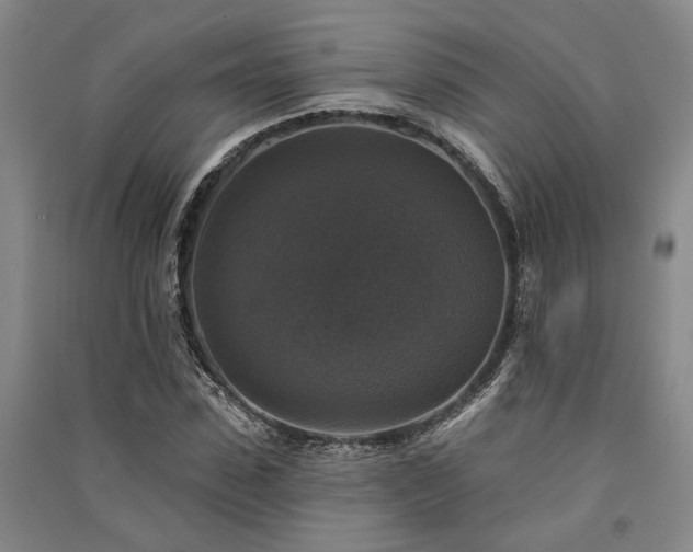 X0000091350923200708171428