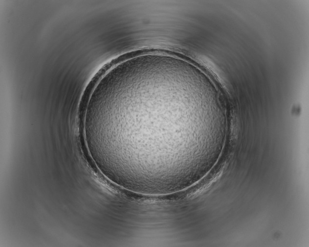 X0000091350924200708171428