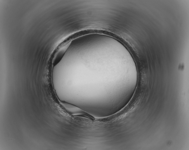 X0000091350926200708171428