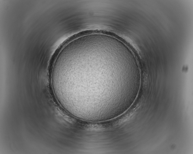 X0000091350927200708171428