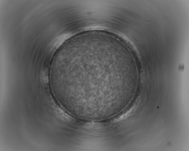 X0000091350929200708171428