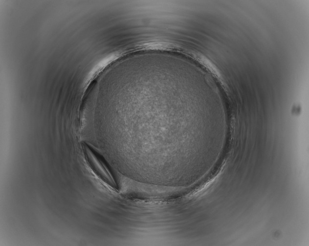 X0000091350930200708171428