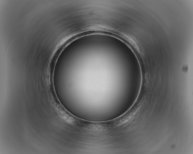 X0000091350931200708171428