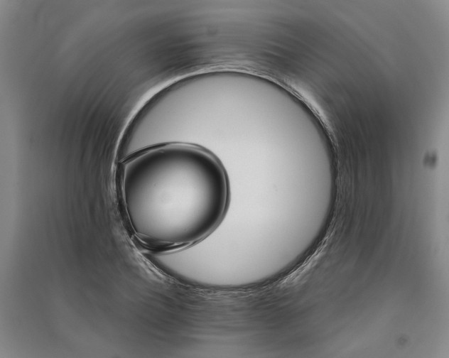 X0000091350932200708171428