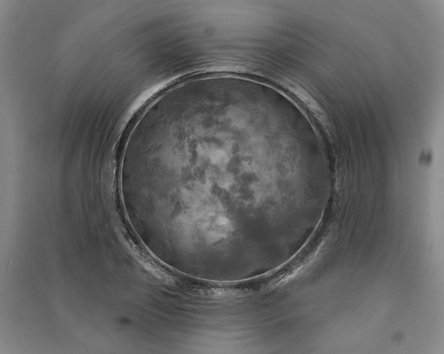 X0000091350933200708171428