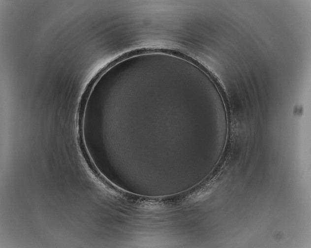 X0000091350935200708171428