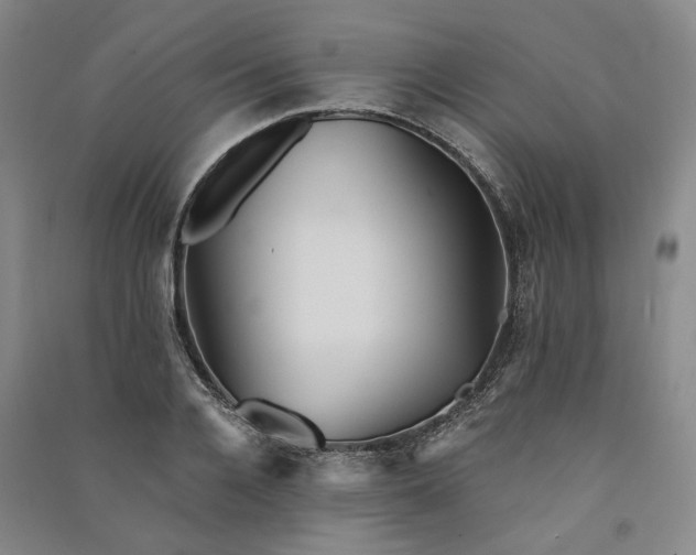 X0000091350936200708171428
