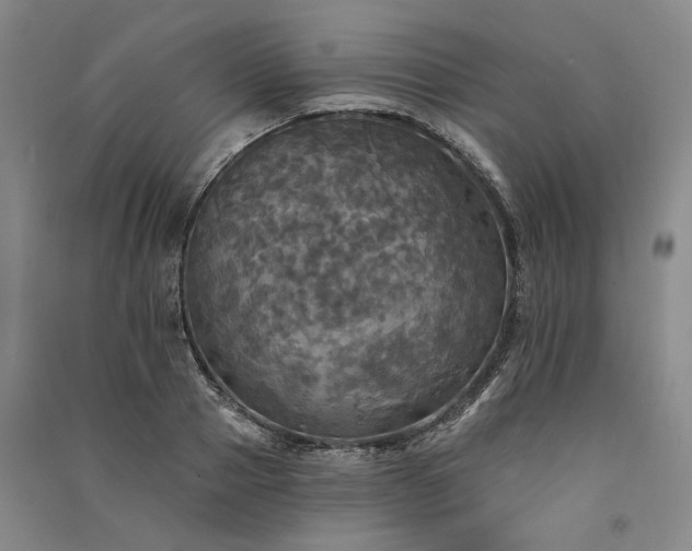 X0000091350937200708171428