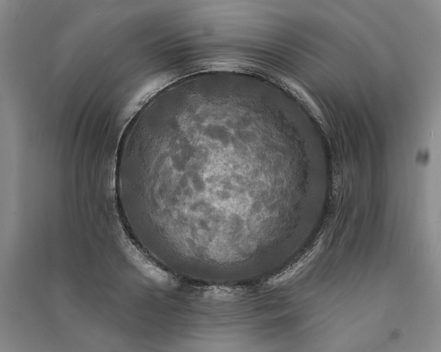 X0000091350938200708171428