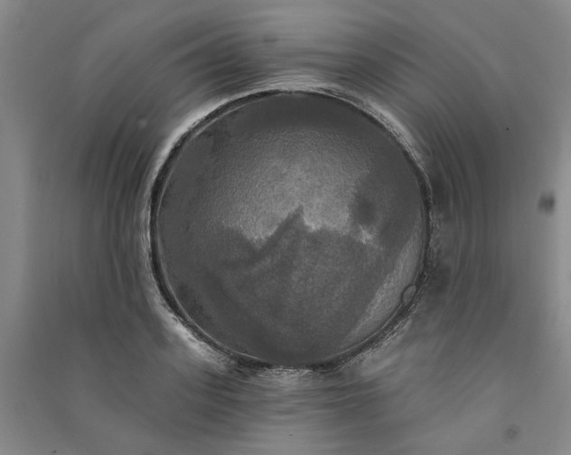 X0000091350939200708171428
