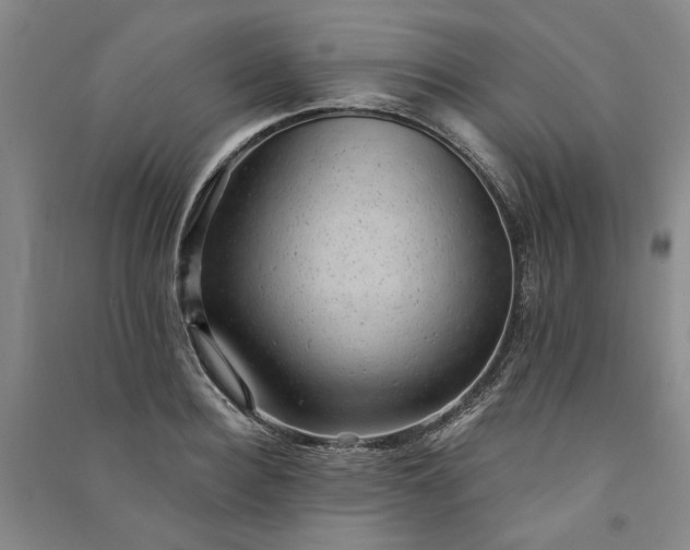 X0000091350940200708171428