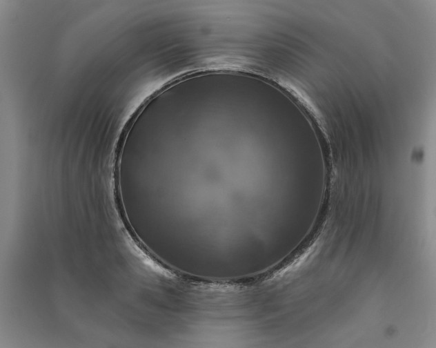 X0000091350941200708171428