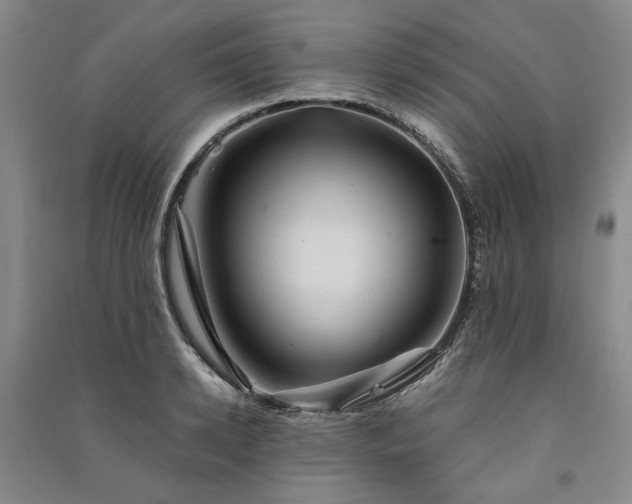 X0000091350942200708171428