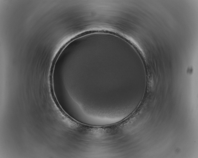 X0000091350943200708171428