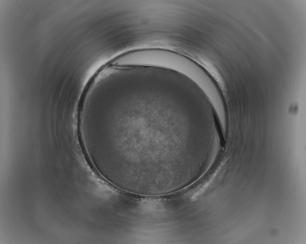X0000091350944200708171428