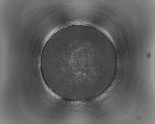 X0000091350946200708171428