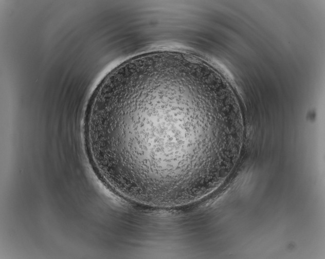 X0000091350947200708171428