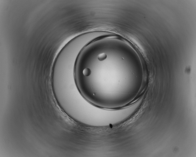 X0000091350948200708171428