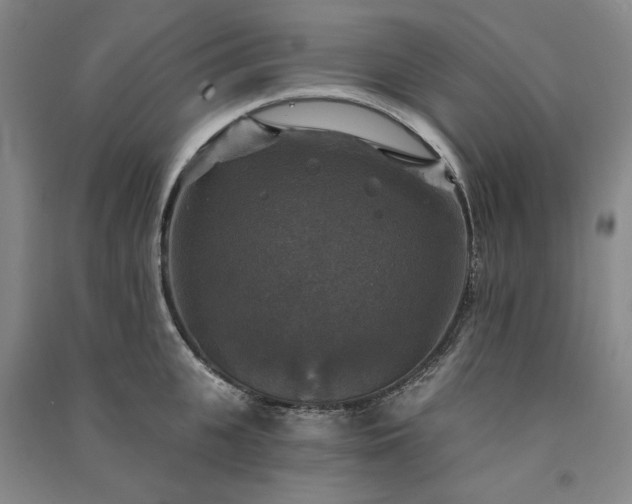 X0000091350951200708171428
