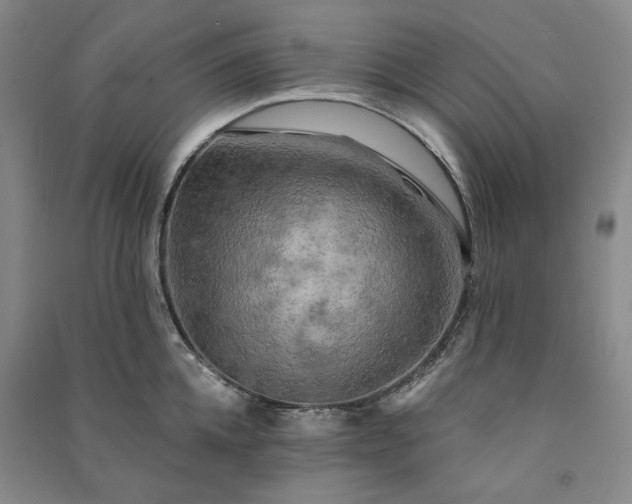 X0000091350952200708171428