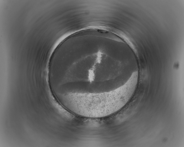 X0000091350955200708171428