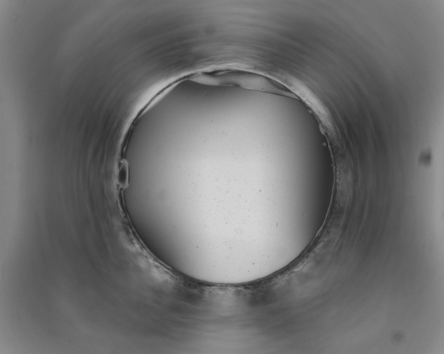 X0000091350956200708171428