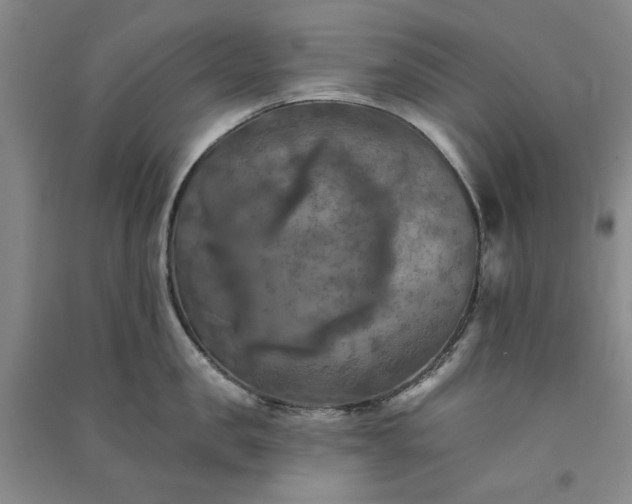 X0000091350957200708171428