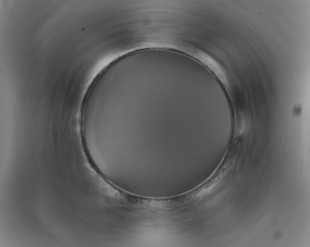 X0000091350958200708171428
