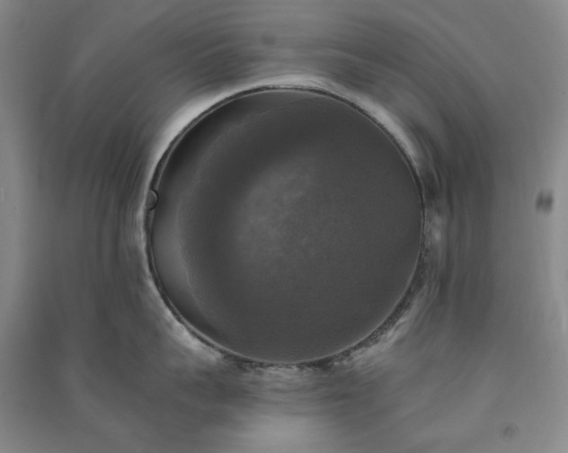 X0000091350959200708171428
