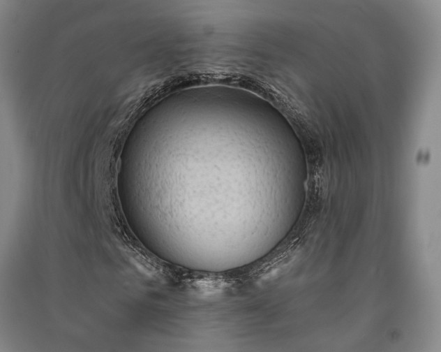 X0000091350961200708171428