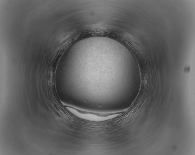 X0000091350964200708171428