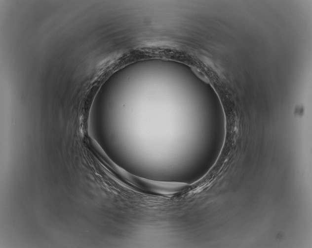 X0000091350965200708171428