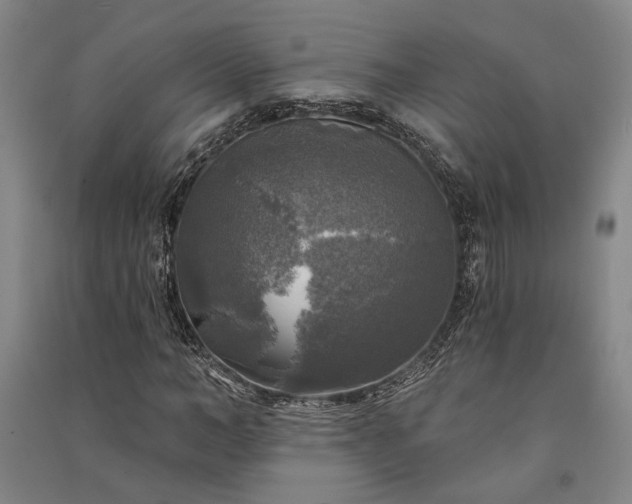 X0000091350966200708171428