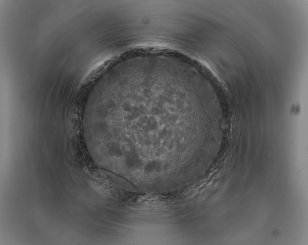 X0000091350967200708171428