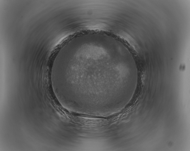 X0000091350968200708171428