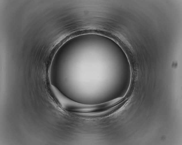 X0000091350969200708171428