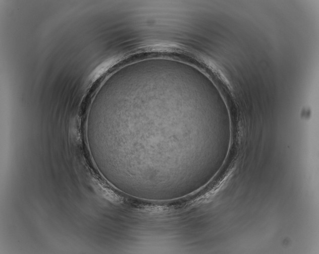 X0000091350970200708171428
