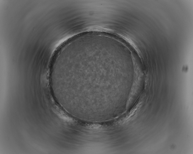 X0000091350971200708171428